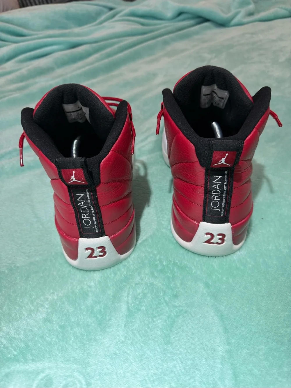 Air Jordan 12 Retro 